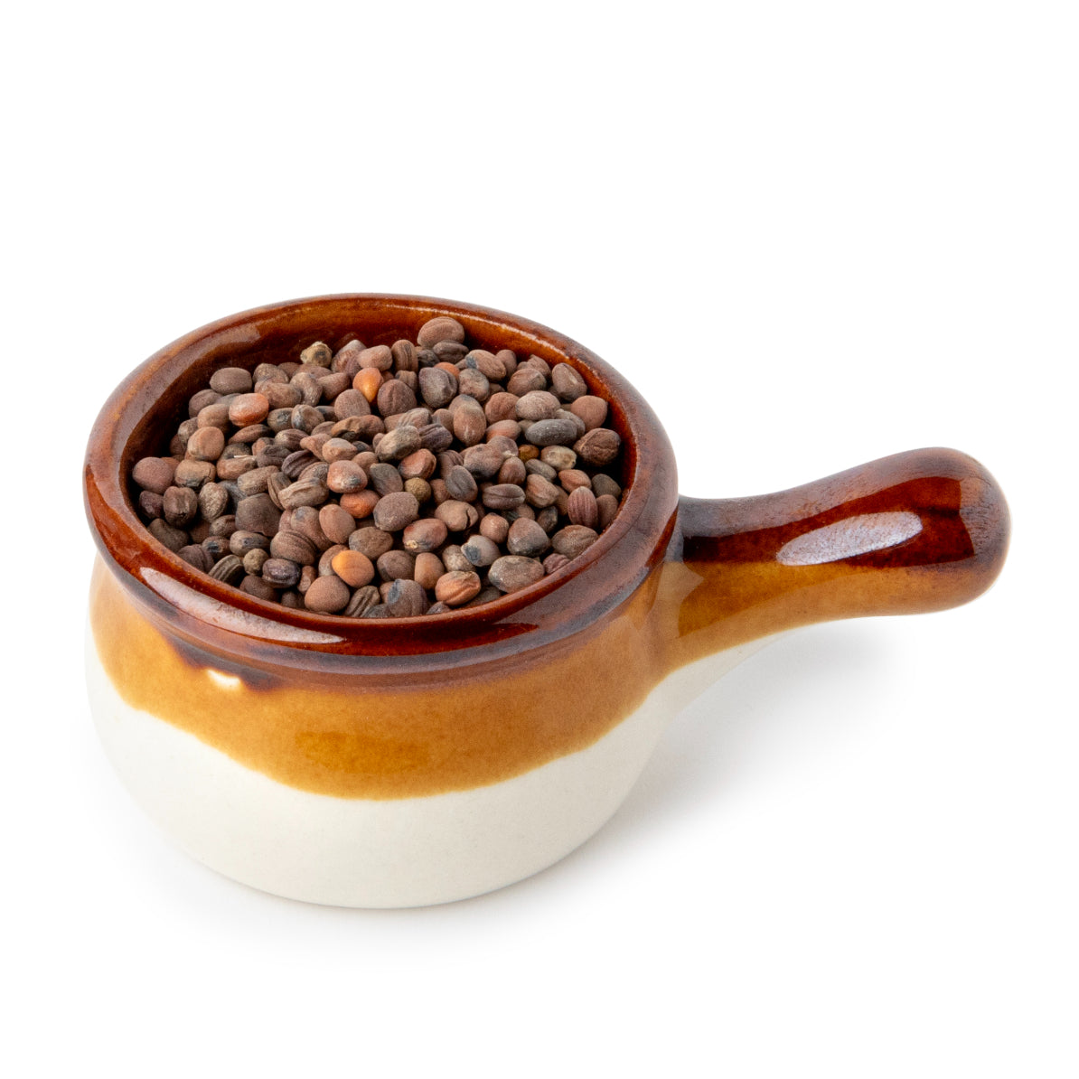 Semințe Ridiche Purpurie