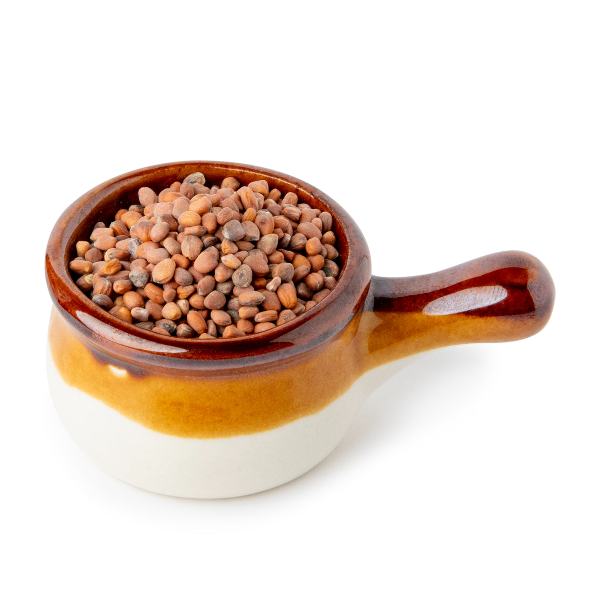 Semințe Ridiche Rose