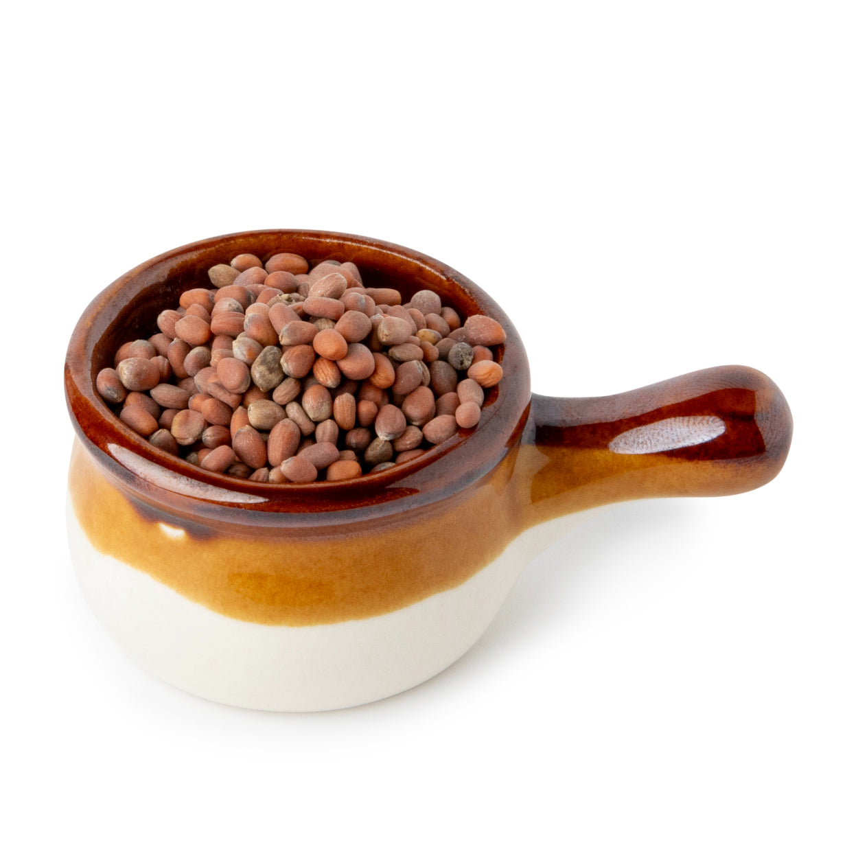 Semințe Ridiche Daikon