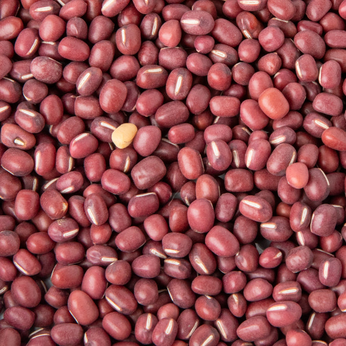 Semințe Fasole Roșie