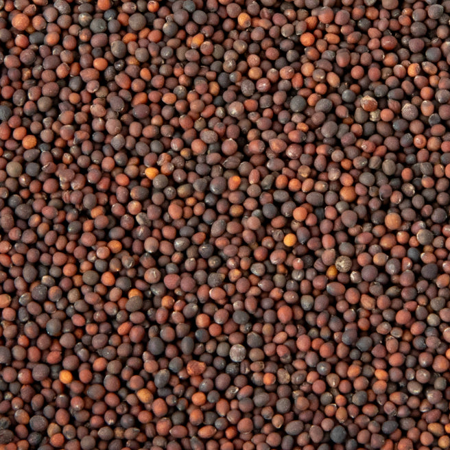 Semințe Varză Kale