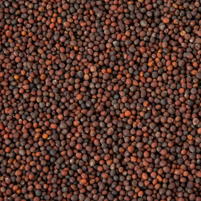 Semințe Gulie Kohlrabi