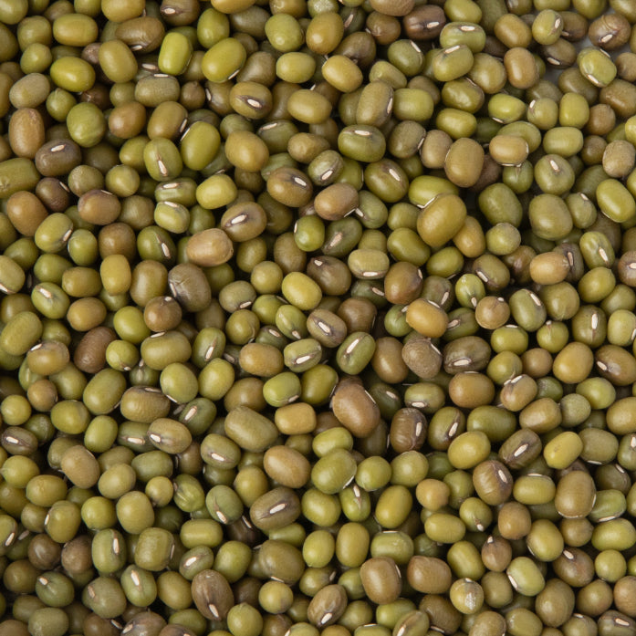 Semințe Fasole Mung