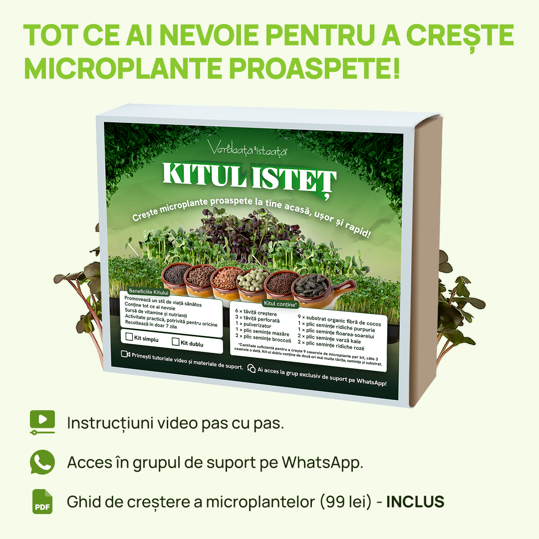 Kitul Isteț: Crește Microplante Acasă
