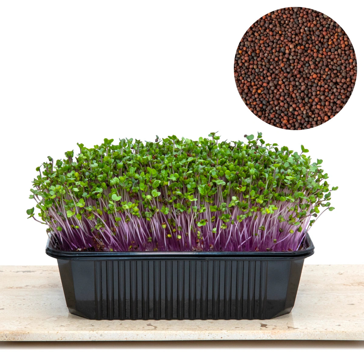 Semințe Gulie Kohlrabi